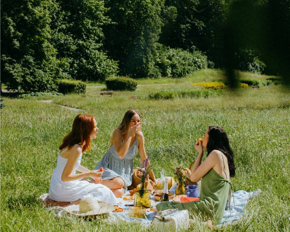 Summer picnic experience in Kashmir